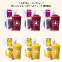 F&Pスムージーキット アソートメント10 オレンジジュースベースアソート(果物系2種)