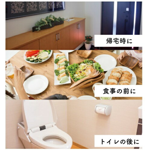 SARARITO ���륳���른���� 500ml RS-L1271 ���� ��ӥ� ���ե��� ���å��� ��Ź ������ �����ȥ�å�