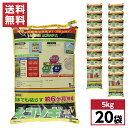 【まとめ買い】レインボー薬品 ネコソギエースV粒剤 5kg×20袋 粒剤除草剤 土壌処理型 非農耕地用