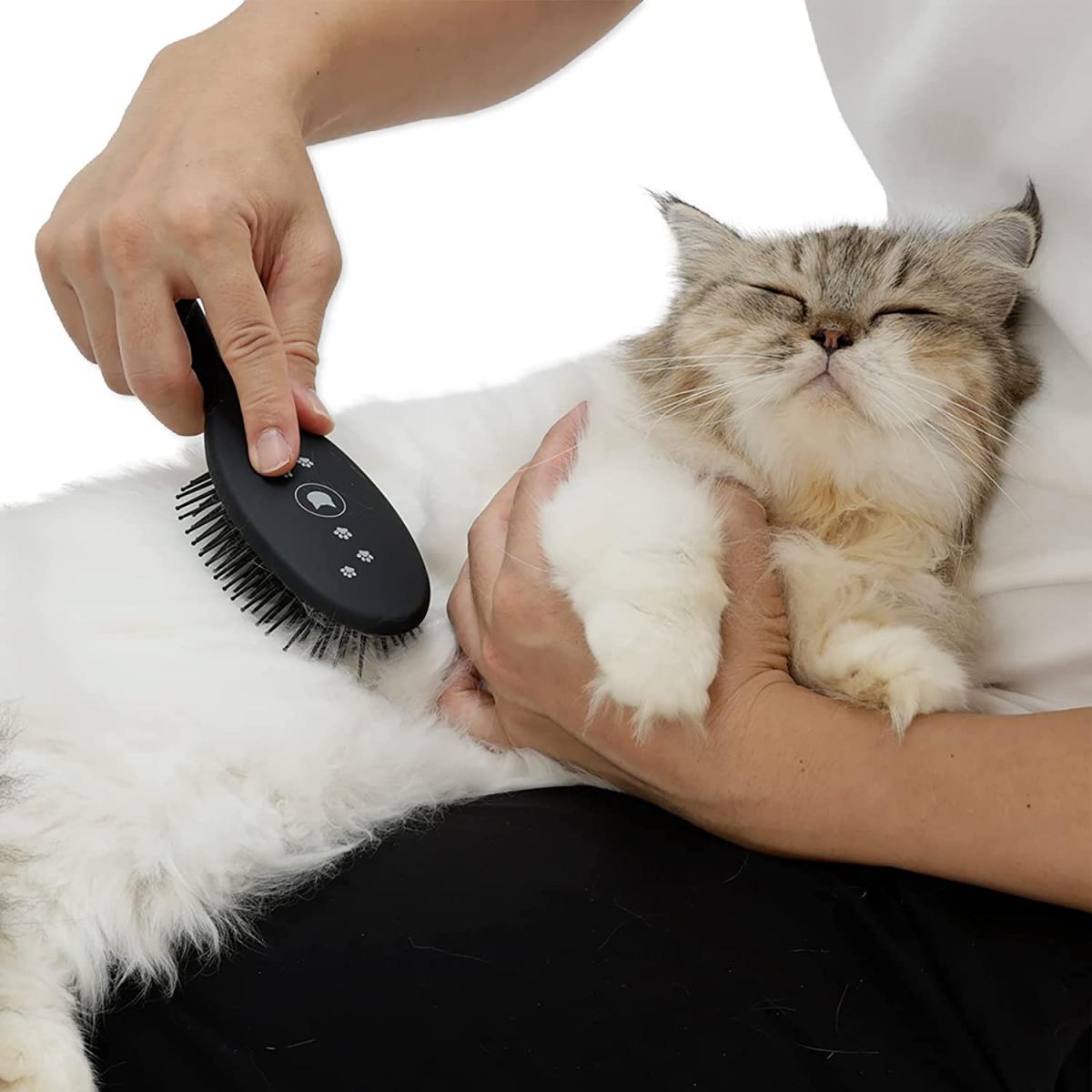 猫壱 necoichi ブラシを嫌がる猫もとろける魔法のブラシ 猫 ブラシ ブラッシング ...