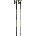 レキ LEKI シェルパ FX.ONE カーボン トレッキングポール 125cm ブラック 折りたたみ アウトドア ストック 杖 ポール 1300482190 ...