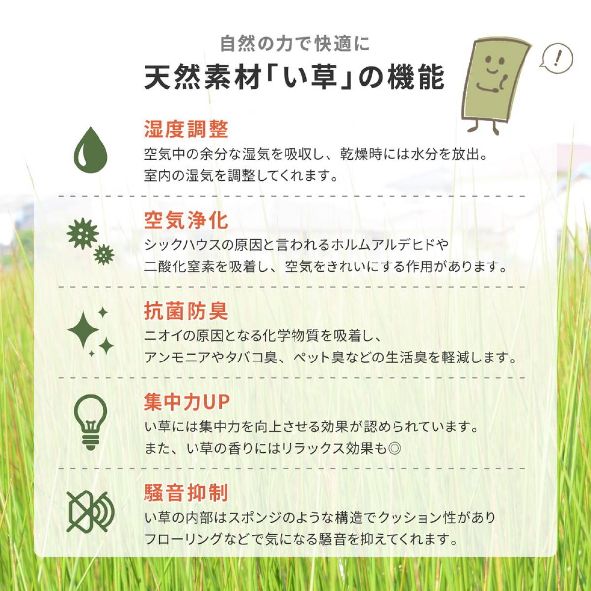 ファンズファクトリーの【I】 萩原 国産い草廊下敷き（裏貼り） エルモード 81830267 ブルー 95×340cm 袋織 滑り止め加工付｜アングル3