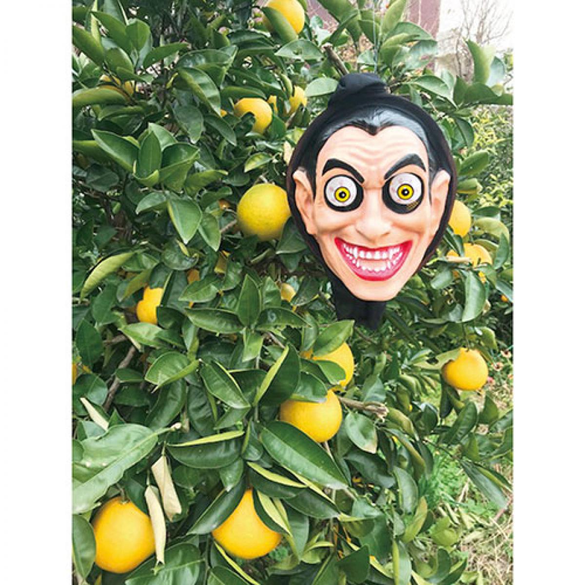 龍宝丸 鳥獣ネコ撃退 大統領 K-031 害獣 避け 忌避 獣 対策 農作目 顔 リアル