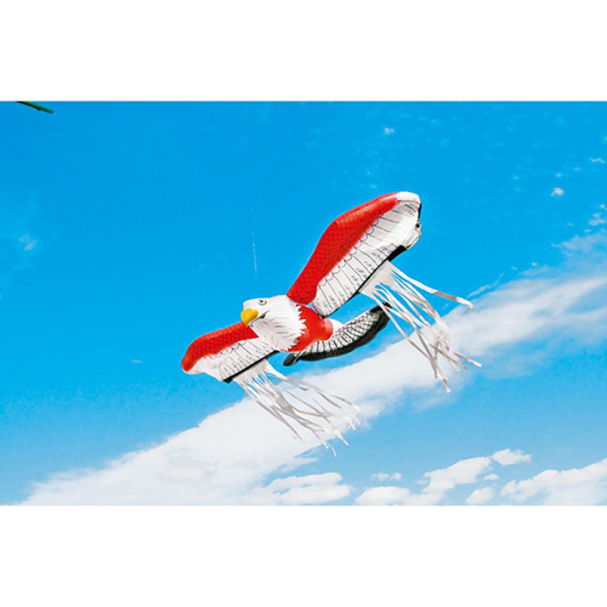 龍宝丸 鳥追い 暴れん坊タカ K-901 防鳥 鳥 対策 田畑 工場 倉庫