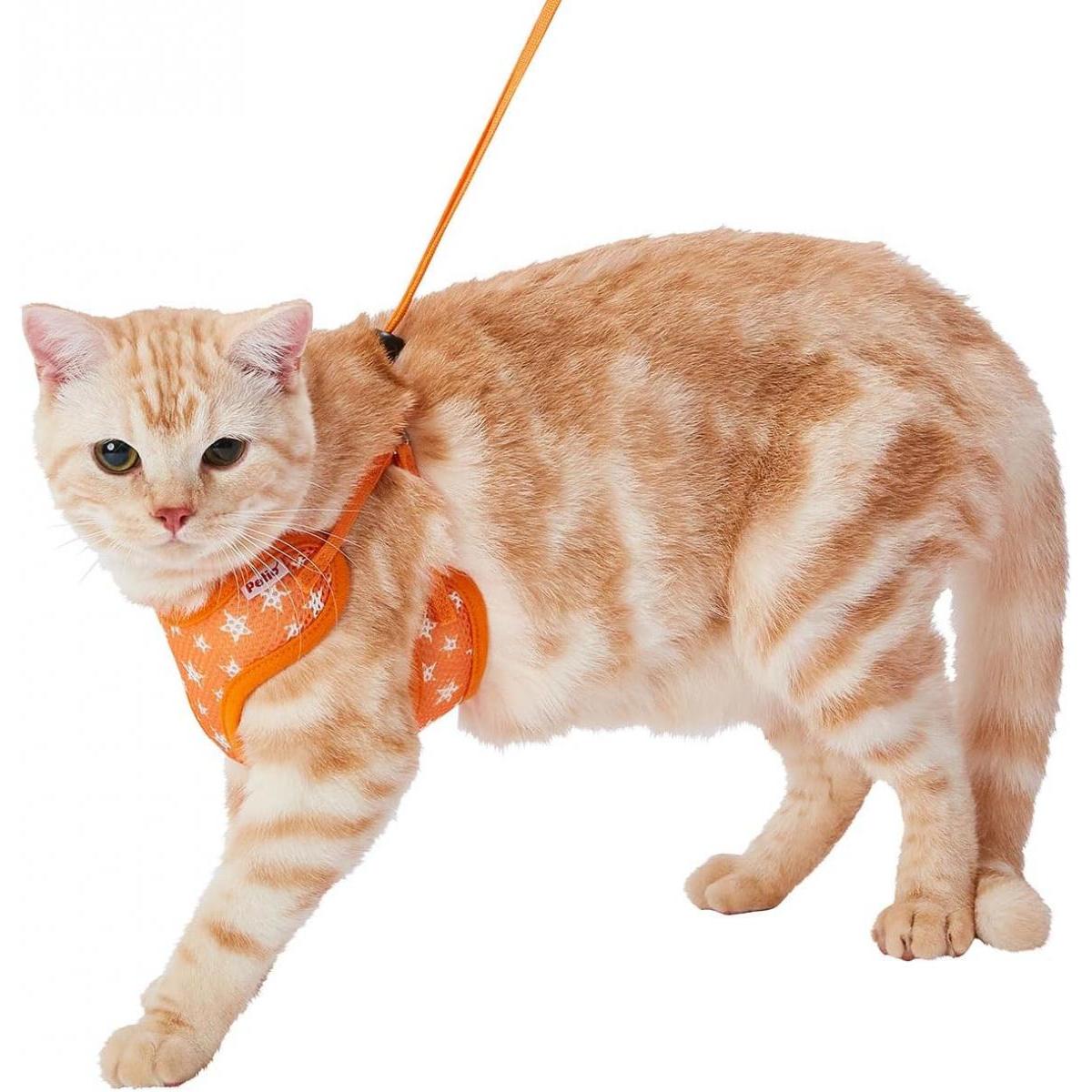 ペティオ Petio 猫用 胴輪 イージーキャットハーネス オレンジ 胴回り約30～50cm ...