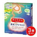【まとめ買い】花王 めぐりズム 蒸気でホットアイマスク カモミール 5枚入×3個 リラックス 寝る前 疲れ 目元 おやすみ前 リラクゼーション(4)