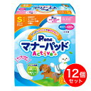 【在庫有・即納】【まとめ買い】P.one 第一衛材 男の子&女の子用 マナーパッド Active ビッグパック S 45枚×12個 PMP-751 男女兼用 ペ...