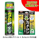 【在庫有・即納】カメムシ対策 セット ムシクリン カメムシ用エアゾール 480ml & イカリ消毒 カメムシいやがる袋 (2枚入)