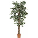 【I】不二貿易 フェイクグリーン インテリアグリーン フィカスB 人工観葉植物 完成品 インテリア 高さ170cm 大型 52664