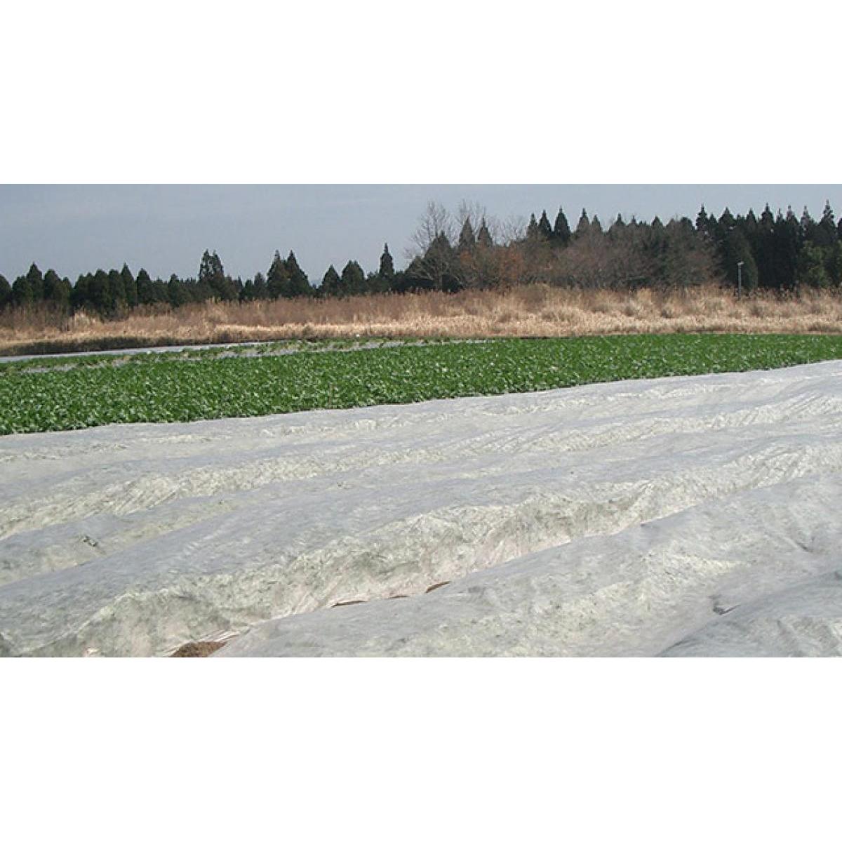 岩谷マテリアル アイホッカ #18 90cm×200m巻　 高保温性農業用不織布 防霜 寒冷紗 ...