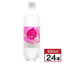 【在庫有・即納】 【まとめ買い】オンガネジャパン シリカシリカ スパークリング 500ml×24本セット 九州天然水 シリカ 水 鉱水 炭酸水 箱買い ケース買...