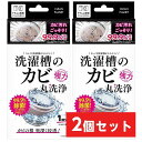 【まとめ買い】クリーンプラネット 洗濯槽のカビ 強力丸洗浄 1回分×2セット カビ汚れごっそり! 99.9%除菌 洗濯槽 クリーナー