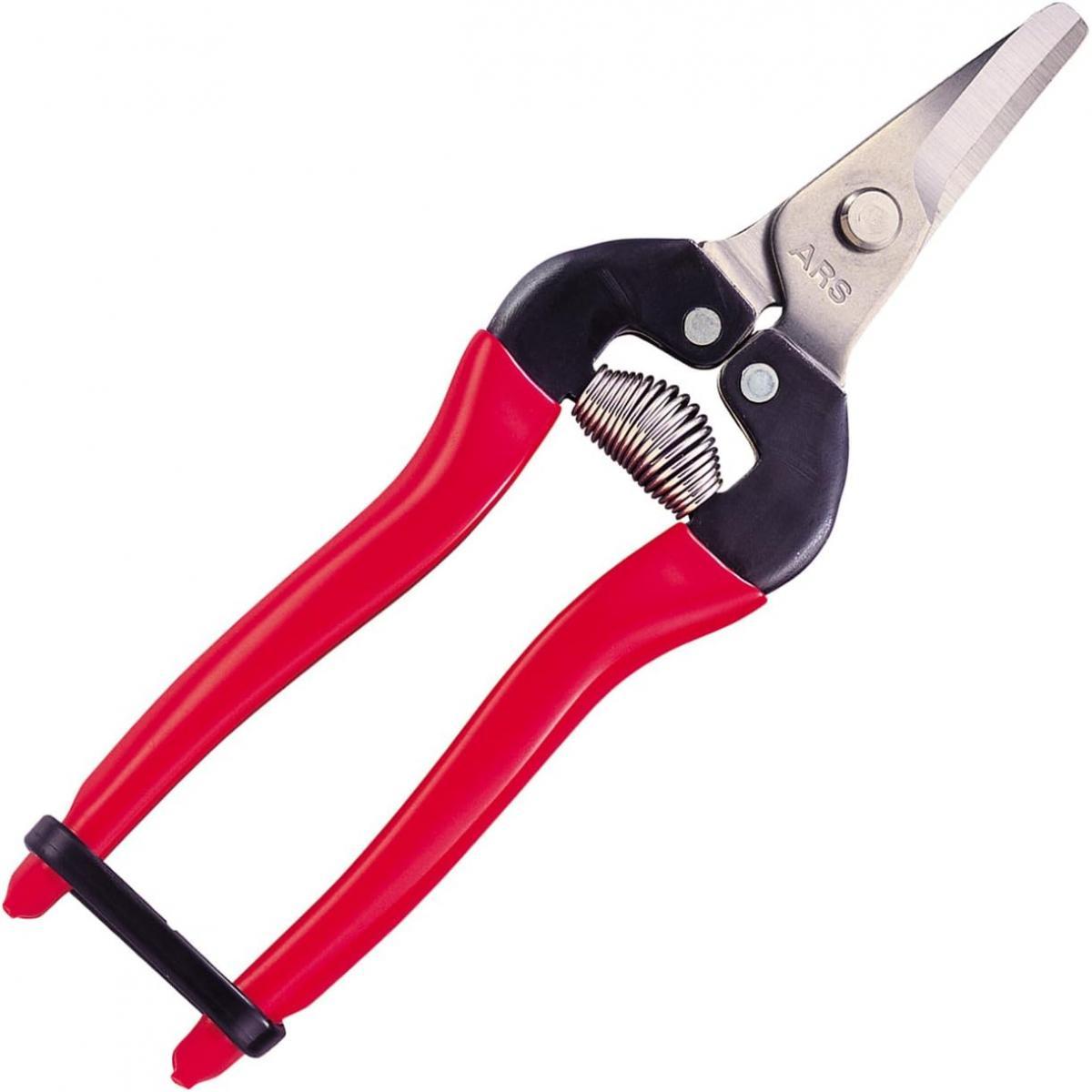 アルス 採果鋏デラックス 箱入り 310DX 野菜 果樹 茎 ステンレスタイプ