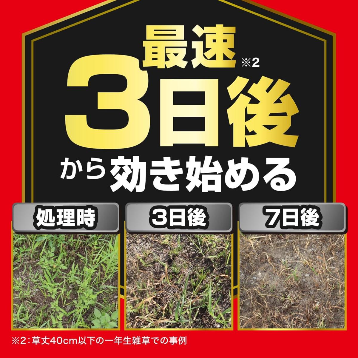 【在庫有・即納】【まとめ買い】KINCHO園芸 草退治ストロング 粒剤 3kg×2箱セット ...
