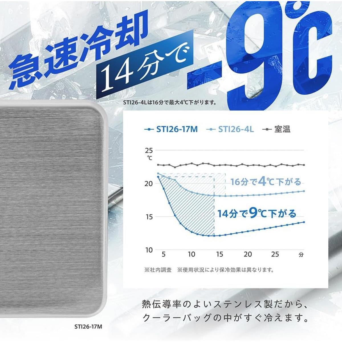 【在庫有】武田コーポレーション ステンレスアイスパック STI26-17M×2セット　保冷...