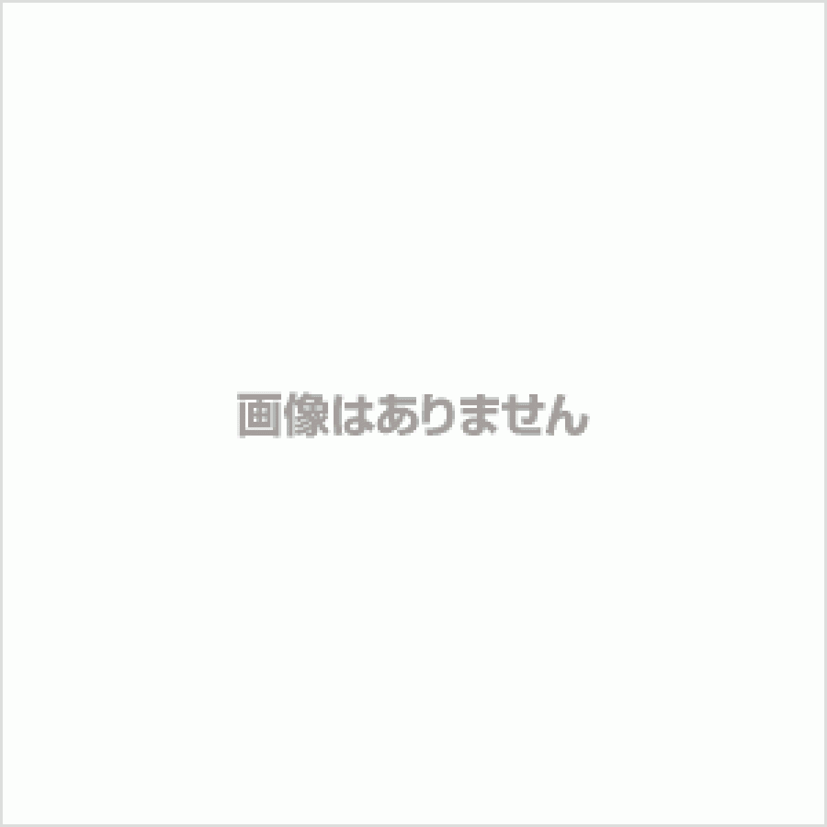 仕様:12mm六角軸 サイズ:全長330mm・ネジ丈240mm 軸:普通鋼 刃:普通鋼※商品の仕様・パッケージや原産国・原産地などは、メーカーの都合により予告なく変更される場合がございます。最新の情報につきましては、メーカーにご確認くださいますようお願いいたします。