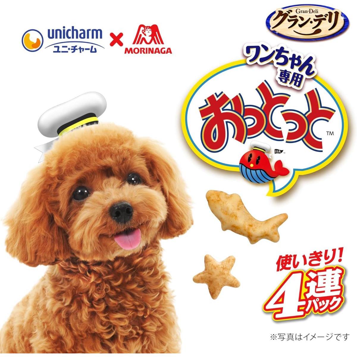 グラン・デリ ワンちゃん専用 おっとっと チキン＆ビーフ味 4連パック 24g×4　おや...