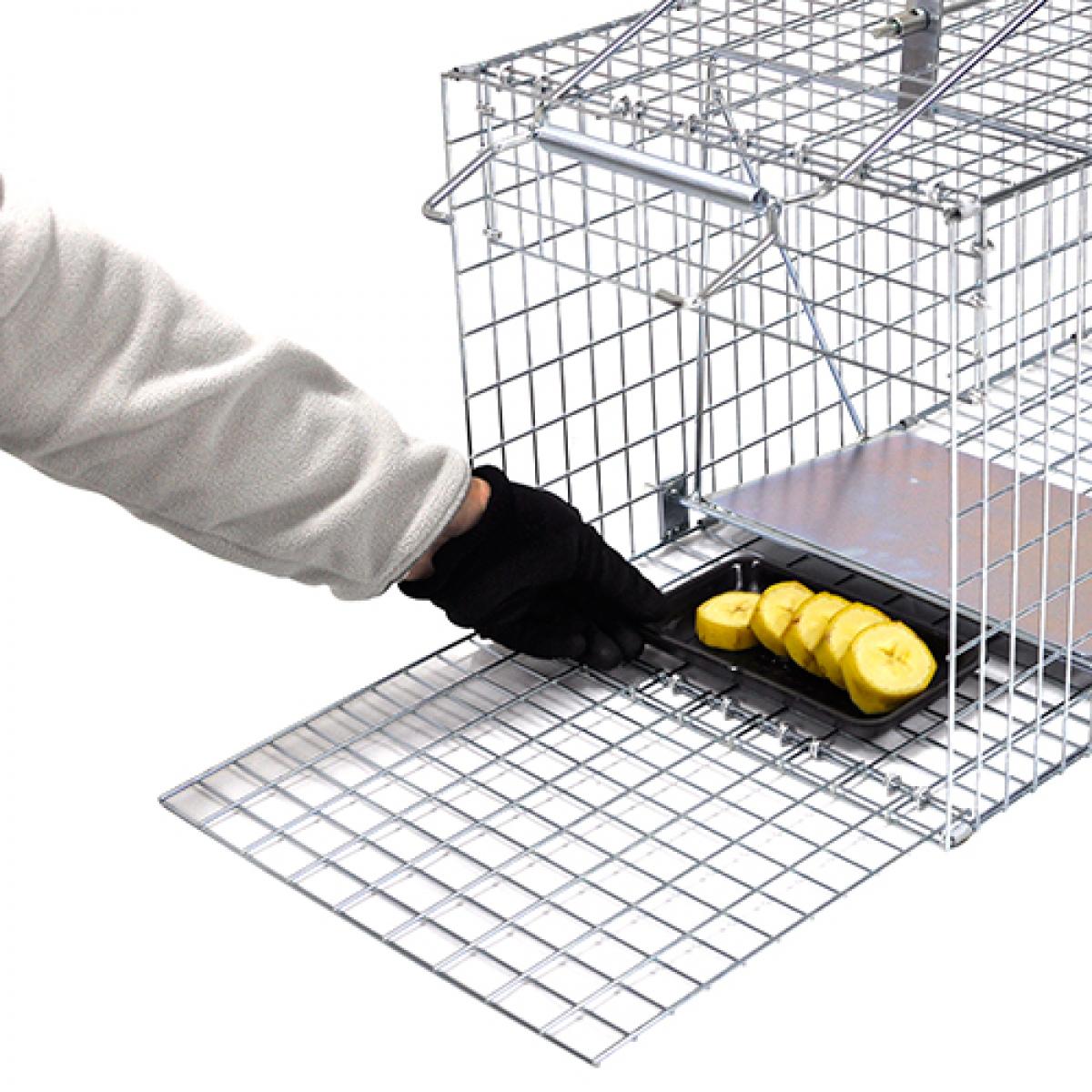 栄ヒルズ 保護器DtypeNO.203 IT-3　イタチ(オス)捕獲 害獣対策 アニマルトラップ