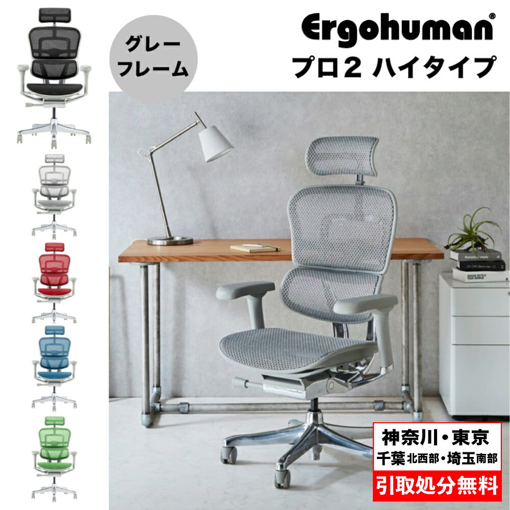 エルゴヒューマン プロ2 ハイタイプ グレーフレーム（5カラー展開）EHP2-HAM-GF Ergohuman PRO2 オフィスチェア チェア 椅子 いす イス オフィスチェア 肘 キャスター付き リクライニング