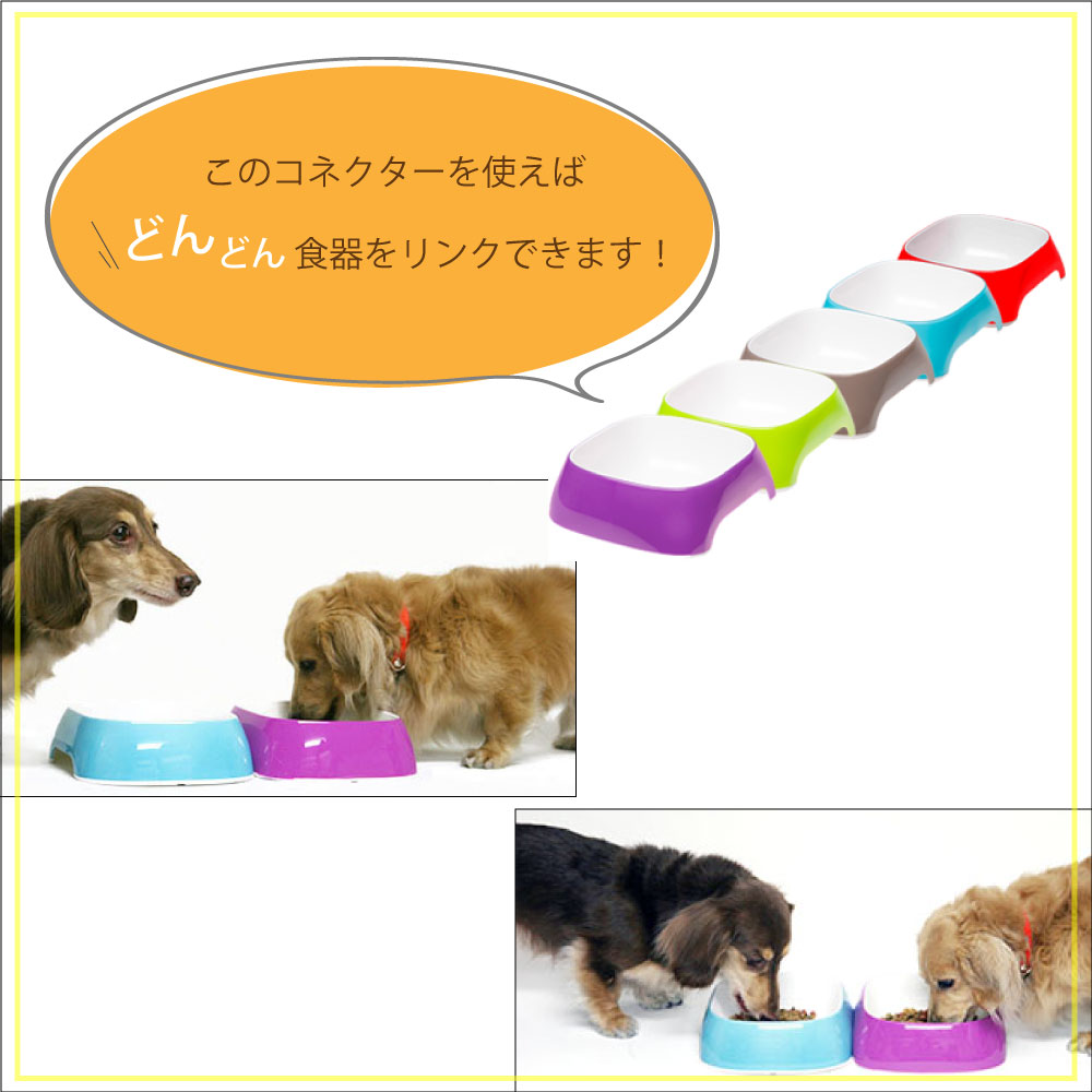 ��������ѥ��ͥ����� 2���� �ץ饹���å���������ꥢerplast����