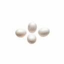 イタリアferplast社製 FPI 4308 偽卵 プラスチックエッグ4個入り