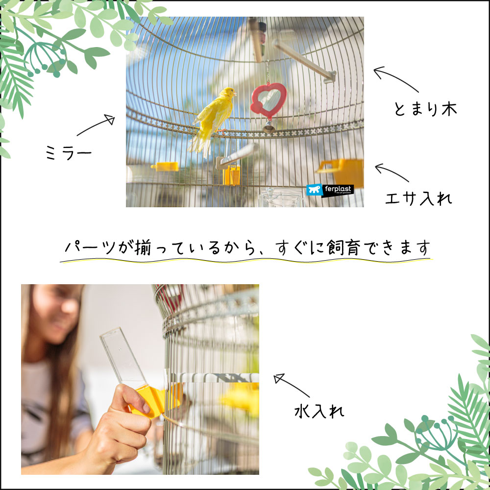 鳥かご バリ アンティークブラス Bali A...の紹介画像3