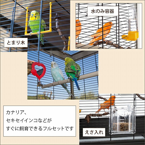 鳥かご ピアノ 8 Piano 8 鳥籠 ゲー...の紹介画像3