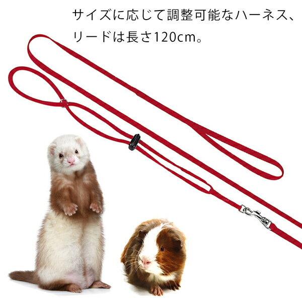 NY ROD HARNESS フェレット モル...の紹介画像3