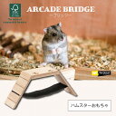 ARCADE ブリッジ ファープラスト ▼w ペット グッズ 小動物 ハムスター おもちゃ 木製 橋 ferplast
