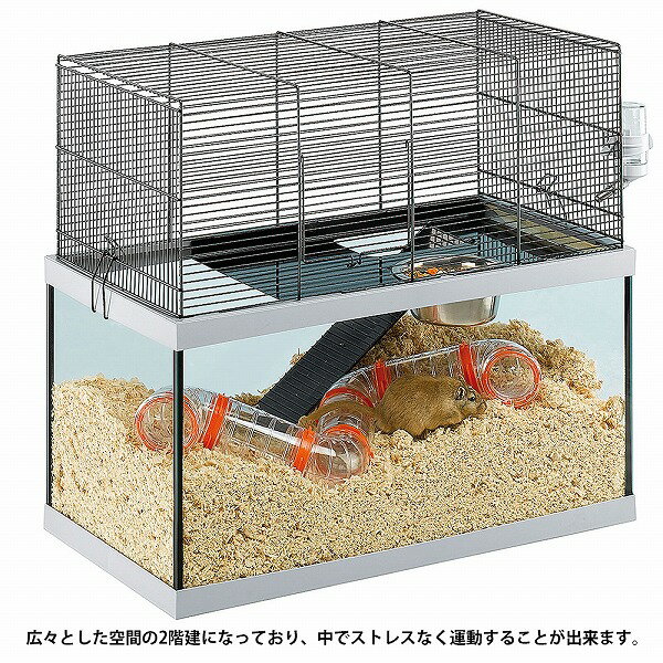 ファープラスト ガブリー GABRY 60 ハ...の紹介画像2