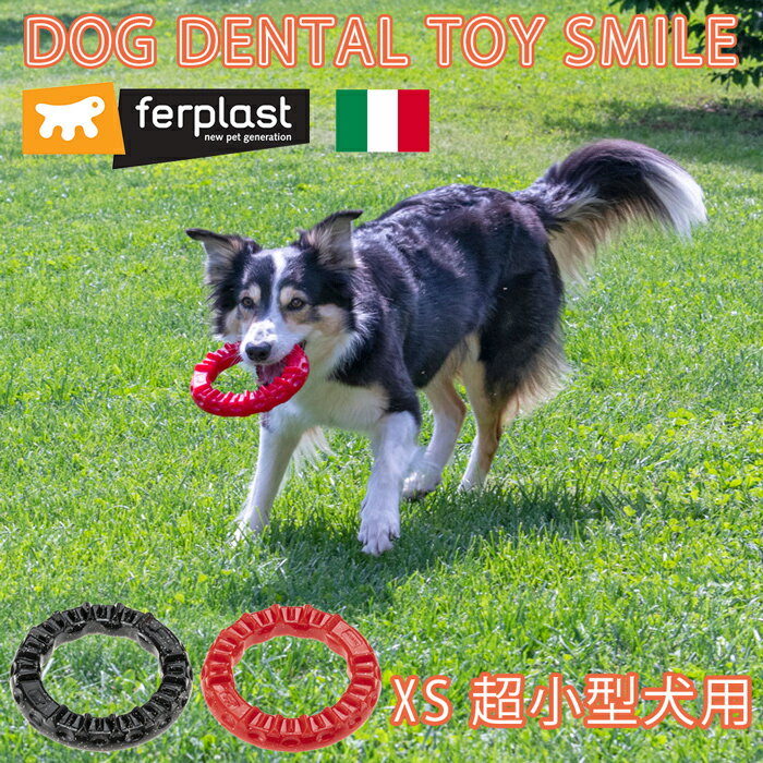 イタリアferplast社製 ドッグデンタルトイ スマイル XS レッド ブラック 犬 超小型犬 おもちゃ トイ 玩具 デンタル 丈夫 壊れない タフ 破壊王 遊び ペット用品