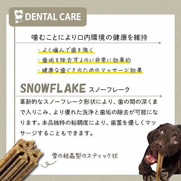 サンプル画像3