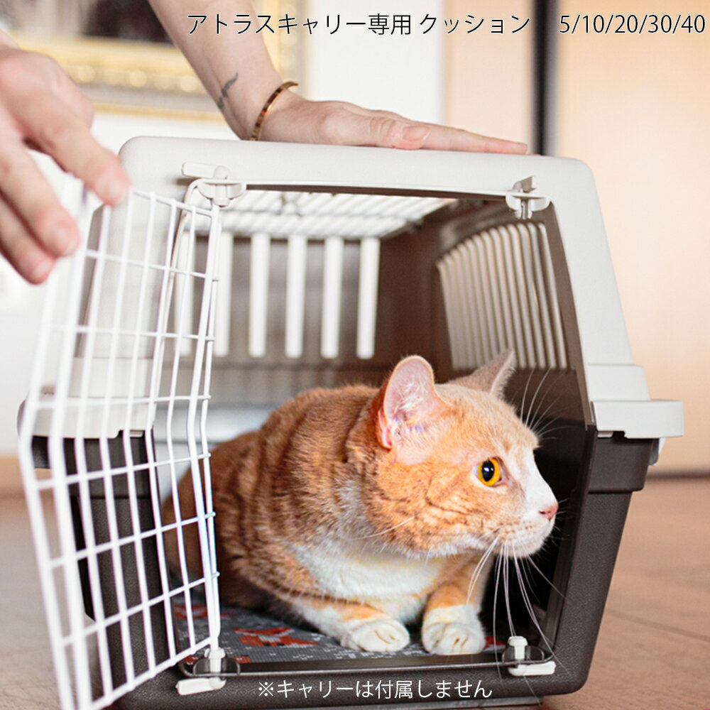 ȥ饹  å 5/10/20/30/40 ǭ  ޥå ٥å Atlass ꥢferplast
