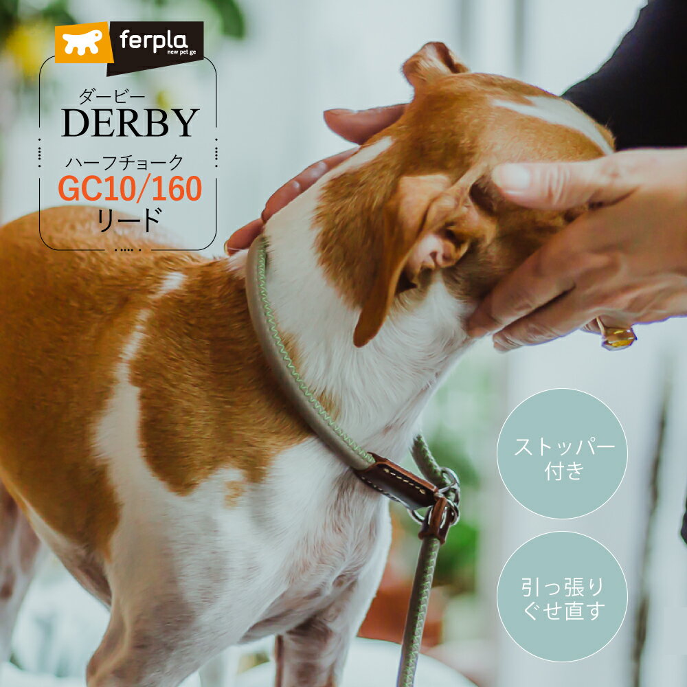 ダービー DERBY ハーフチョーク リード GC10/160 犬 しつけ りーど 首輪リードセット さんぽグッズ 散歩用品 お出かけ お散歩グッズ イタリアferplast社製 オシャレ