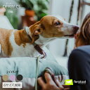 ダービー DERBY チョーク カラ— 首輪 CS 6サイズ 2カラー 犬 しつけ さんぽグッズ 散歩用品 お出かけ お散歩グッズ オシャレ イタリ...