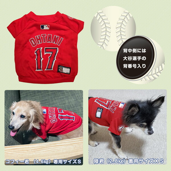 【在庫限り】大谷翔平選手モデル　Tシャツ　Mサイズ LOS ANGELES ANGELS　ロサンゼルス　エンゼルス　ユニフォーム　野球　犬　中型犬　【レビューを書いてプレゼント】 3