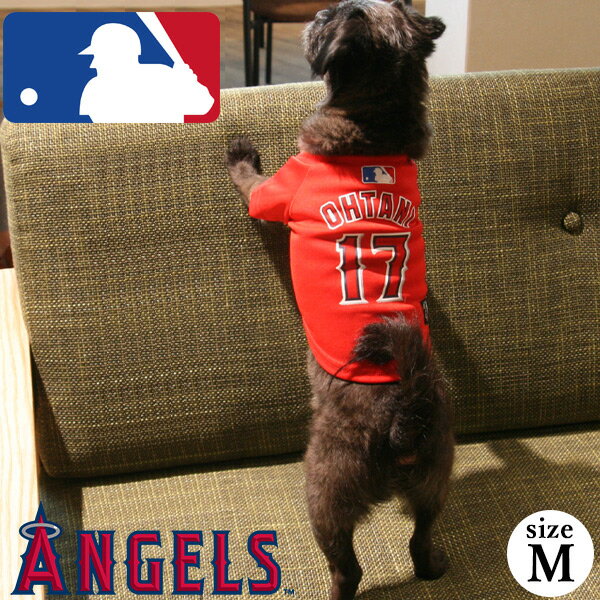 ں߸˸¤ëʿǥ 㡼 M LOS ANGELES ANGELS󥼥륹󥼥륹 ˥ե  淿LINEϿǥץ쥼ȡ