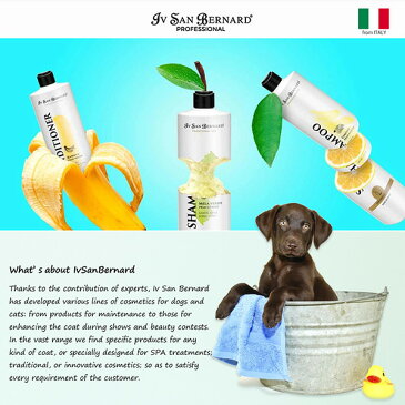 Iv San Bernard ブラックパッション 02 マスク 1000ml アルガンオイル配合 全犬猫種用