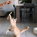 イタリアferplast社製 PA 4998 猫 TOY ネコ おもちゃ 猫じゃらし
