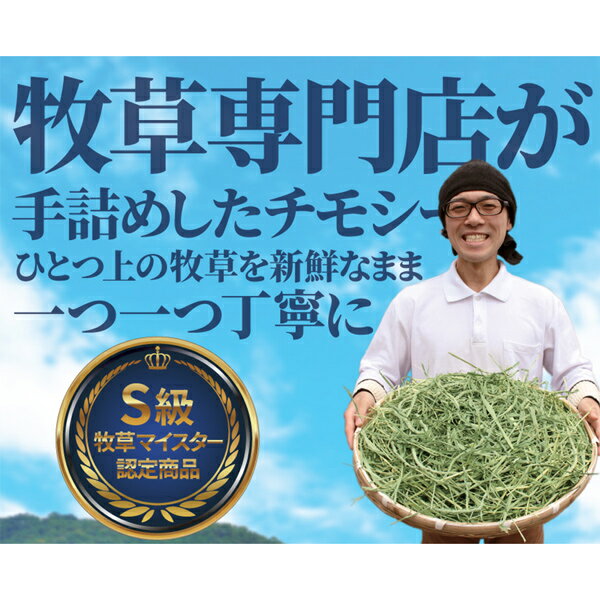 ����Ծ� �����ѡ��ץ�ߥ�����⥷�� 1�ִ��� 800g ������ ����å�