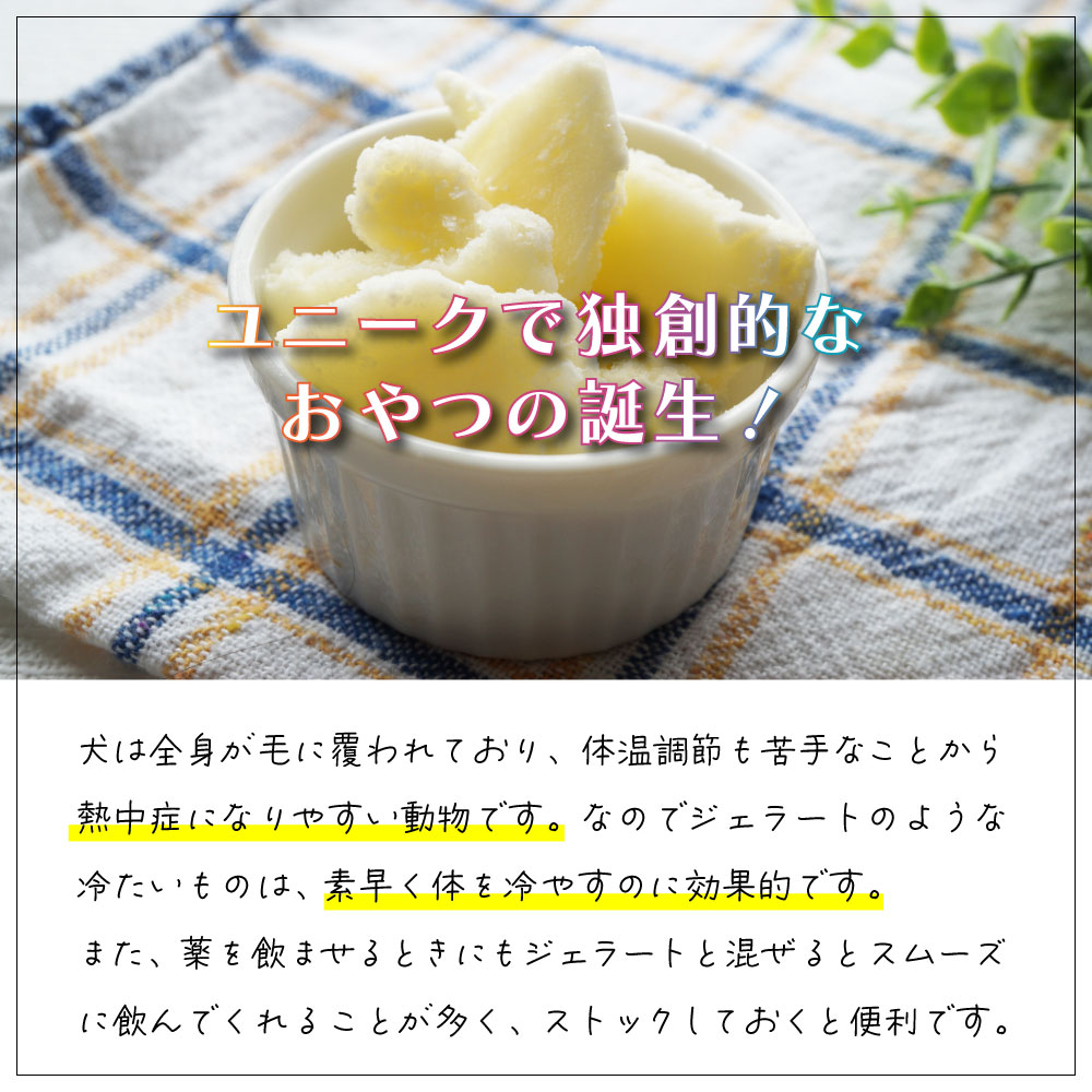 FidOVet �ե��ɥ٥å� �����顼�� 40g �� ����� ������