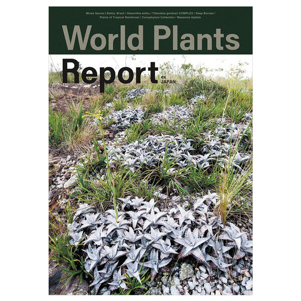 World Plants Report ex Japan ワールドプランツレポート植物 多肉植物 熱帯雨林植物 World plants 本 園芸 ブセファランドラ エアプランツ 観葉植物