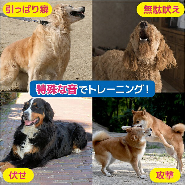 �ü�ʲ��ǥȥ졼�˥󥰡� �ɥå� �ȥ졼�˥� �ǥ�����