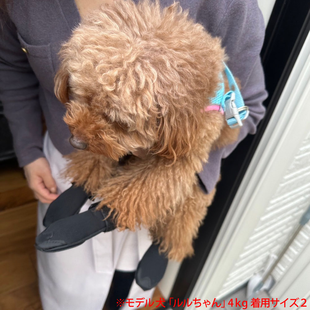 �ɥå��֡��� �������Ѥ����緿���ѥ����� �� ������ �֡���