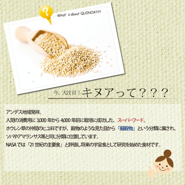 無添加・無着色 【グレインフリー】成猫用キャットフード シシア:ツナ&キヌア 85g Schesir 猫缶 缶詰