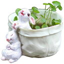 多肉植物鉢 室内-室外用プランター - ウサギの植木鉢 装飾用キノコ付き ウサギちゃんの植木鉢 ペン立て ホームオフィスデスクの装飾 プレゼント用プラント ( ...