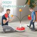 卓球練習 ピンポントレーニング 一人で練習できる卓球マシン 卓球セット ピンポン 卓球ボール練習機 卓球ラケット 卓球トレーナーキット ファミリーピンポン 卓球...