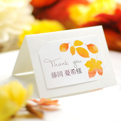 ΰʻ ʡ֥åƥ꡼աס1̾ʬˡ뺧񡿼ղ񡿥ѡƥ񿩡ѡ