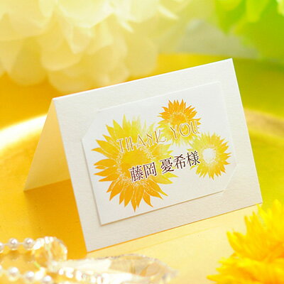 ΰʻ ʡ֥åƥޡס1̾ʬˡ뺧񡿼ղ񡿥ѡƥ񿩡ѡ