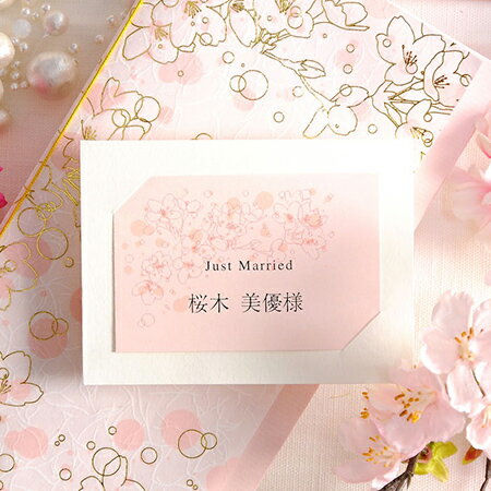 μꥭåȡʻ֥ߥ˥ס10̾ʬˡ뺧񡿼ղ񡿥ѡƥ񿩡ѡ